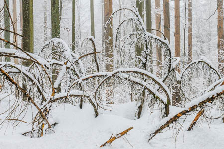 Februar (february) 2012