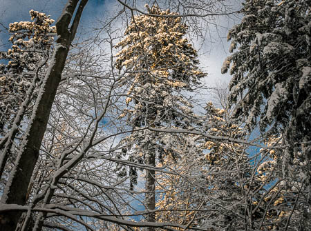 Februar (february) 2012