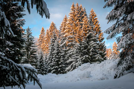 Februar (february) 2012