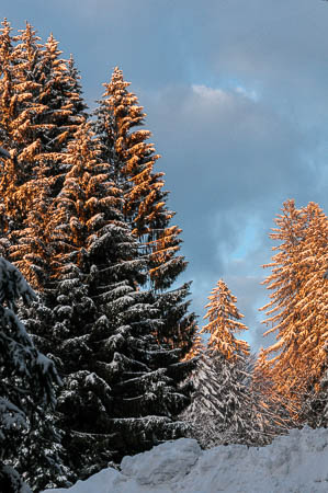 Februar (february) 2012