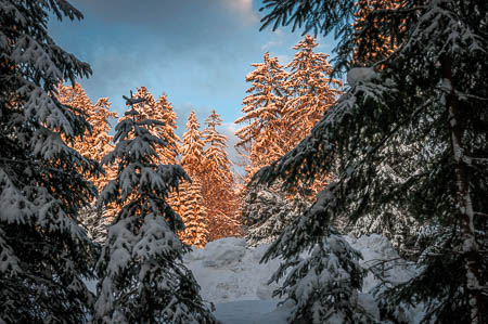 Februar (february) 2012