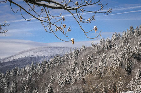 Februar (february) 2012