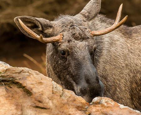 November (november) 2012