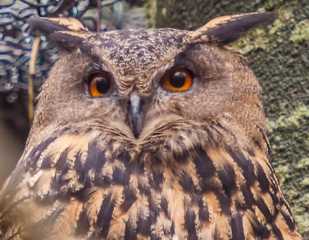 November (november) 2012