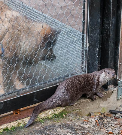 November (november) 2012