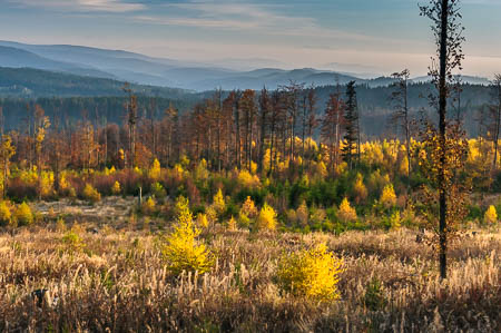 Oktober (october) 2011