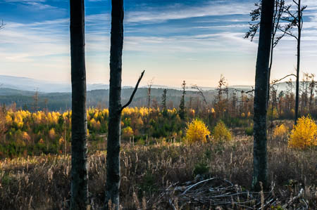 Oktober (october) 2011