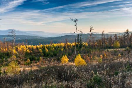 Oktober (october) 2011