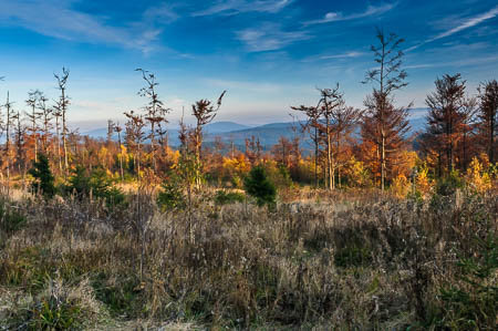 Oktober (october) 2011