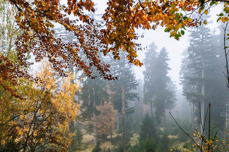 Oktober (october) 2011