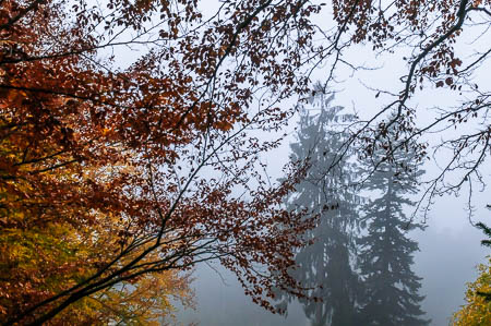 Oktober (october) 2011