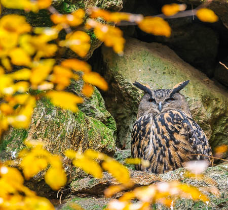 Oktober (october) 2011