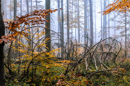 Oktober (october) 2011