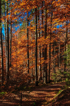 Oktober (october) 2011