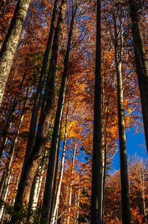 Oktober (october) 2011