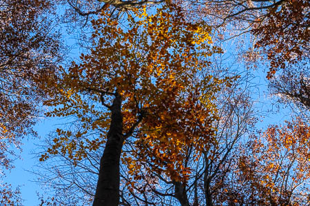 Oktober (october) 2011