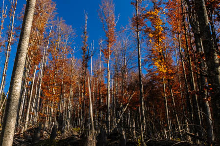 Oktober (october) 2011