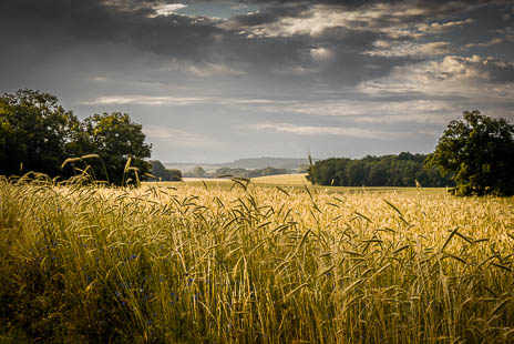 Susanne und Anja mit dem Planwagen durch die Uckermark (2015)