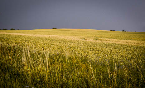 Susanne und Anja mit dem Planwagen durch die Uckermark (2015)