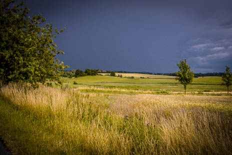 Susanne und Anja mit dem Planwagen durch die Uckermark (2015)