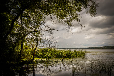 Susanne und Anja mit dem Planwagen durch die Uckermark (2015)