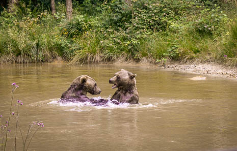 Susanne und Anja mit dem Planwagen durch die Uckermark (2015)