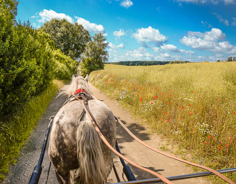 Susanne und Anja mit dem Planwagen durch die Uckermark (2015)