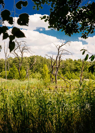 Susanne und Anja mit dem Planwagen durch die Uckermark (2015)
