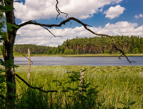 Susanne und Anja mit dem Planwagen durch die Uckermark (2015)