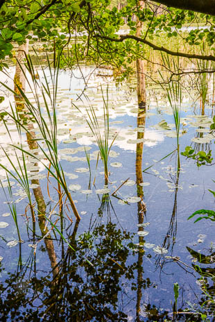 Susanne und Anja mit dem Planwagen durch die Uckermark (2015)
