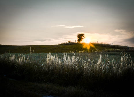 Susanne und Anja mit dem Planwagen durch die Uckermark (2015)