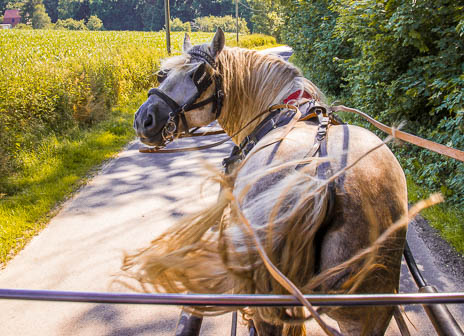 Susanne und Anja mit dem Planwagen durch die Uckermark (2015)