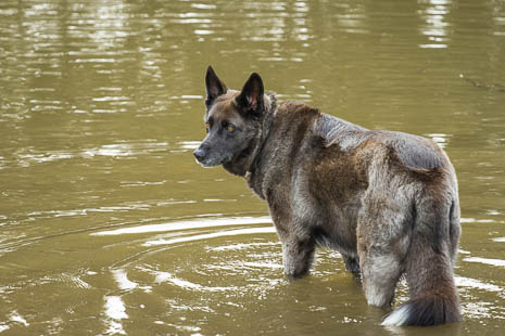 Susanne und Anja mit dem Planwagen durch die Uckermark (2015)