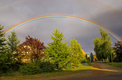 Susanne und Anja mit dem Planwagen durch die Uckermark (2015)