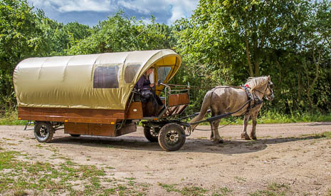Susanne und Anja mit dem Planwagen durch die Uckermark (2015)