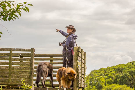Susanne und Anja mit dem Planwagen durch die Uckermark (2015)