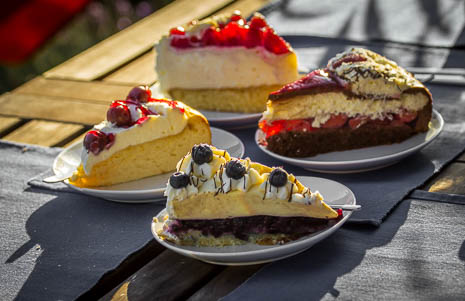Susanne und Anja mit dem Planwagen durch die Uckermark (2015)