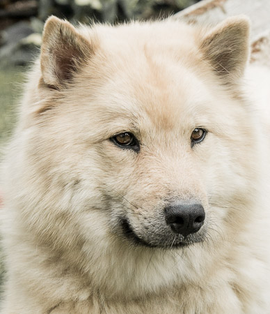 24.April 2014 (1.Woche)