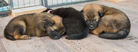 8.Mai 2014 (4-Woche)