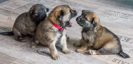 8.Mai 2014 (4-Woche)