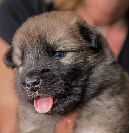 8.Mai 2014 (4-Woche)