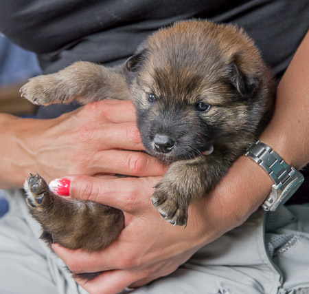 8.Mai 2014 (4-Woche)