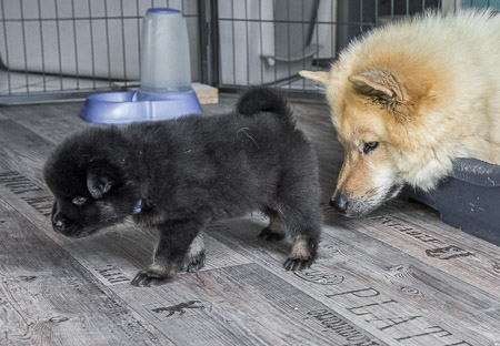 15.Mai 2014 (4-Woche)