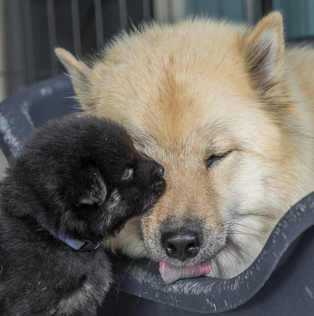 15.Mai 2014 (4-Woche)