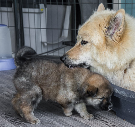 15.Mai 2014 (4-Woche)