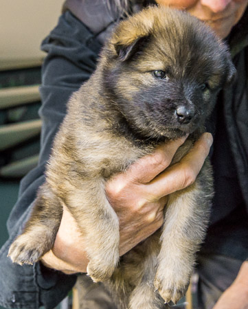 15.Mai 2014 (4-Woche)