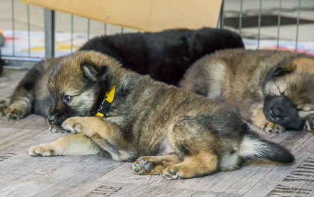 15.Mai 2014 (4-Woche)