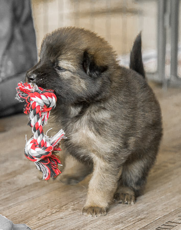 15.Mai 2014 (4-Woche)