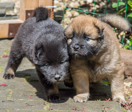 15.Mai 2014 (4-Woche)