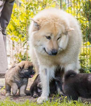 15.Mai 2014 (4-Woche)